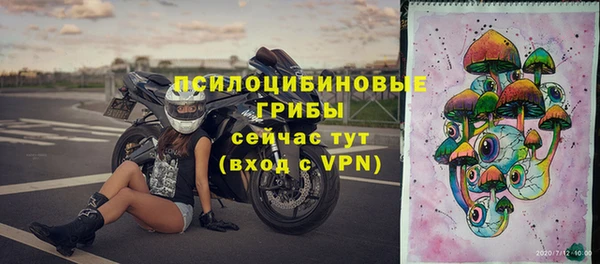 ешки Медвежьегорск