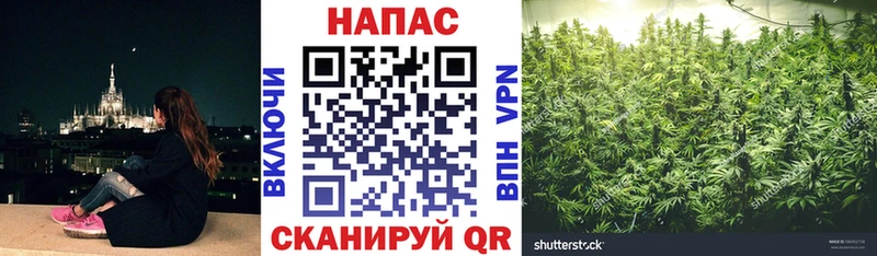 darknet телеграм купить цена Спасск-Рязанский Бошки марихуана тримм